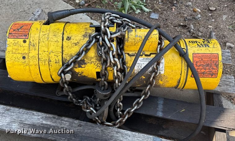 image for item DZ8833 Budgit electric hoist