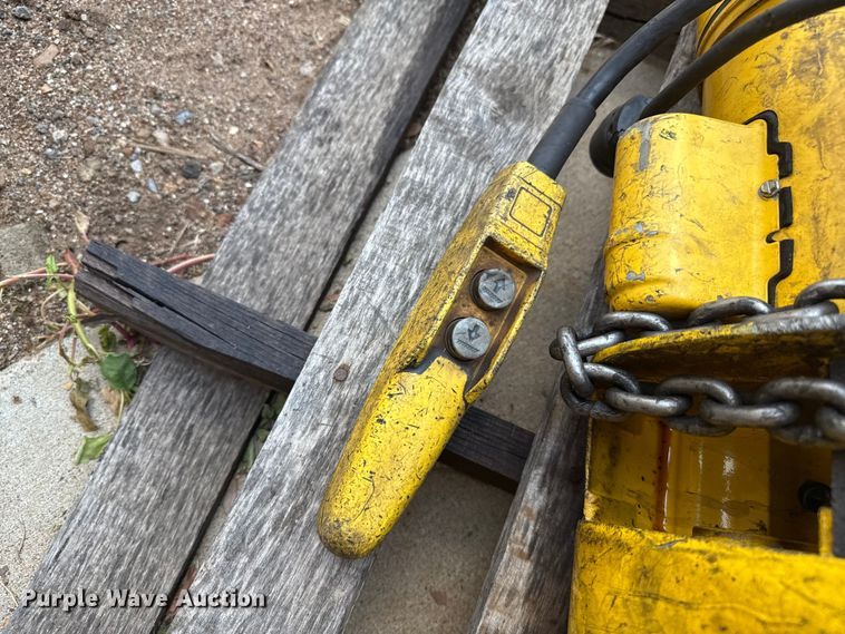 image for item DZ8833 Budgit electric hoist