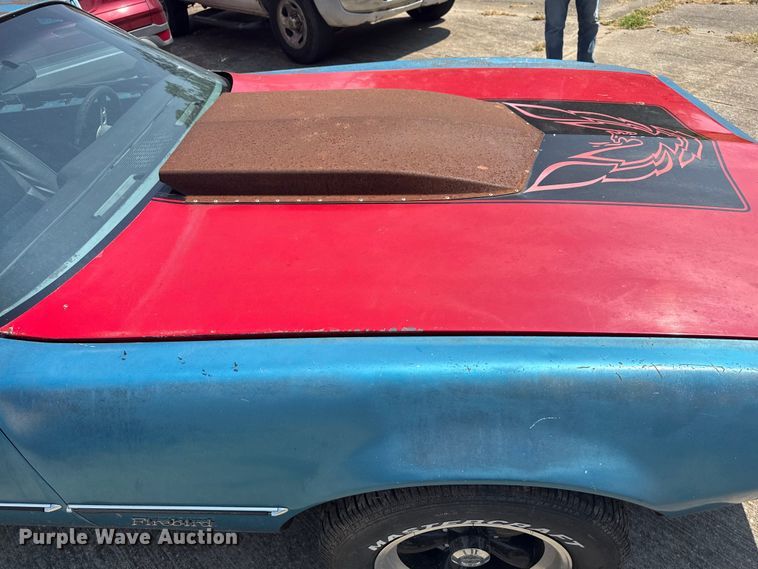 image for item EG8169 1979 Pontiac Firebird 