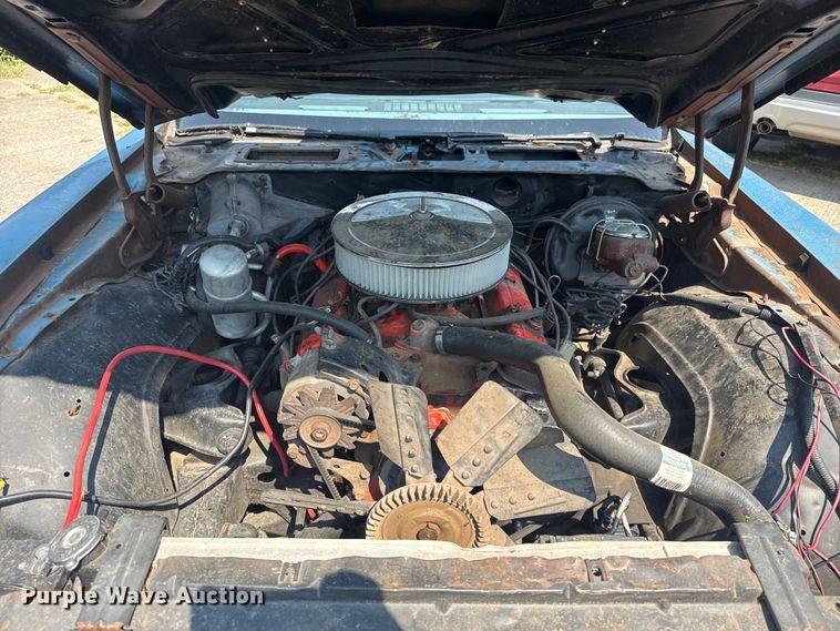 image for item EG8169 1979 Pontiac Firebird 