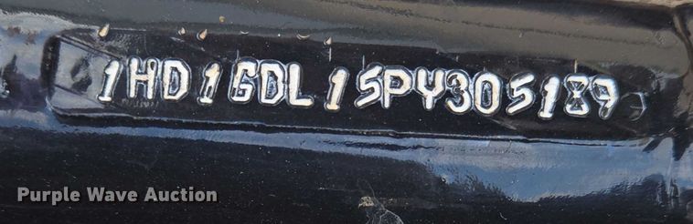 image for item EN8376 1993 Harley-Davidson Dyna Low Rider motorcycle