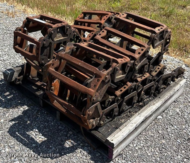 image for item EJ7638 Grouper over the tire tracks