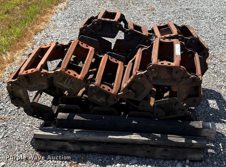 image for item EJ7638 Grouper over the tire tracks
