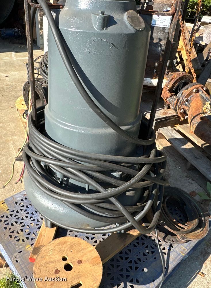 image for item DW3484 (4) Hydromatic sewage pumps