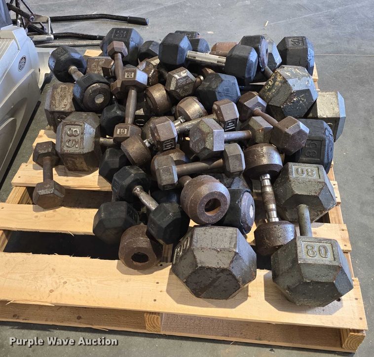 image for item EO1616 Weight lifting equipment