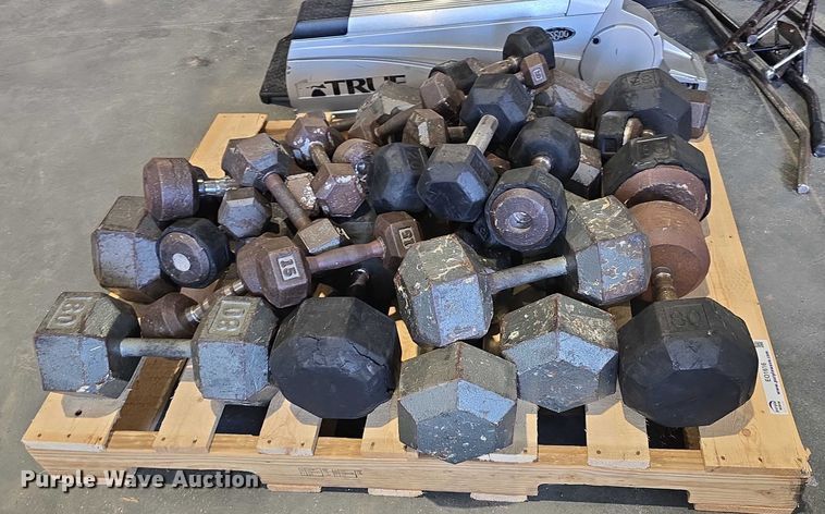 image for item EO1616 Weight lifting equipment