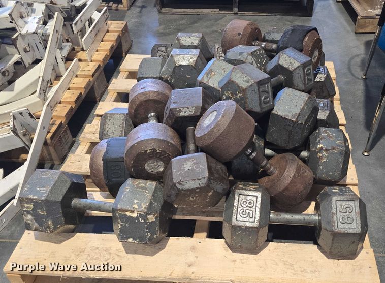 image for item EO1616 Weight lifting equipment