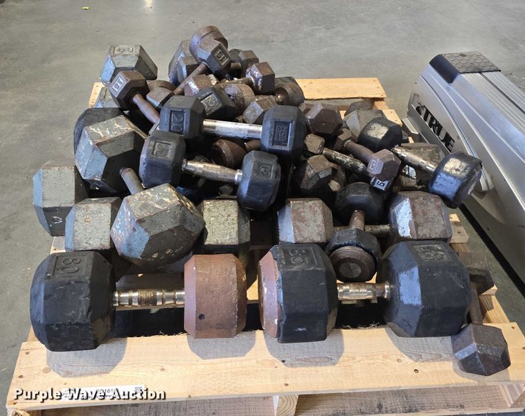 image for item EO1616 Weight lifting equipment