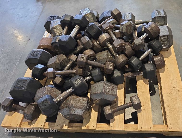 image for item EO1616 Weight lifting equipment