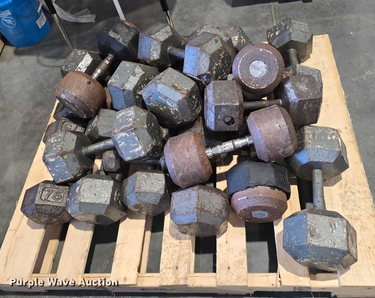 image for item EO1616 Weight lifting equipment