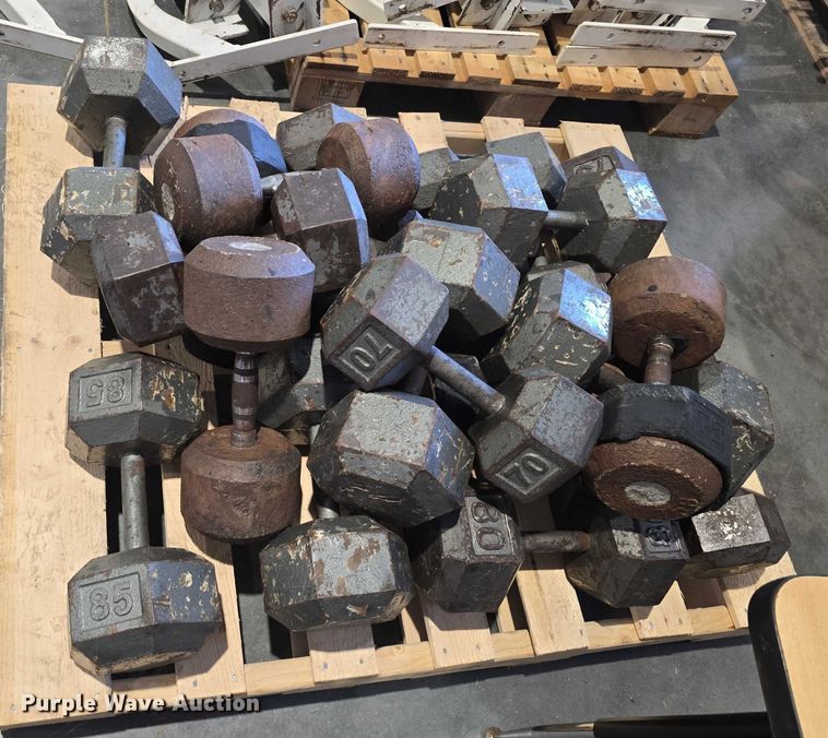 image for item EO1616 Weight lifting equipment