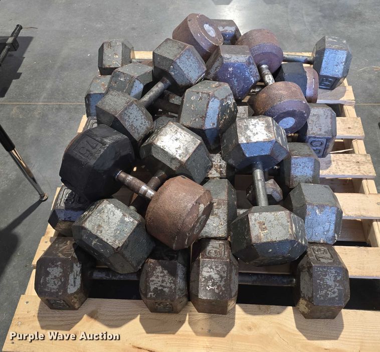 image for item EO1616 Weight lifting equipment