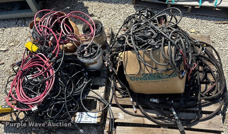 image for item DT3320 (2) wiring harnesses