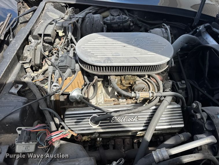 image for item DJ9709 1981 Chevrolet Corvette 