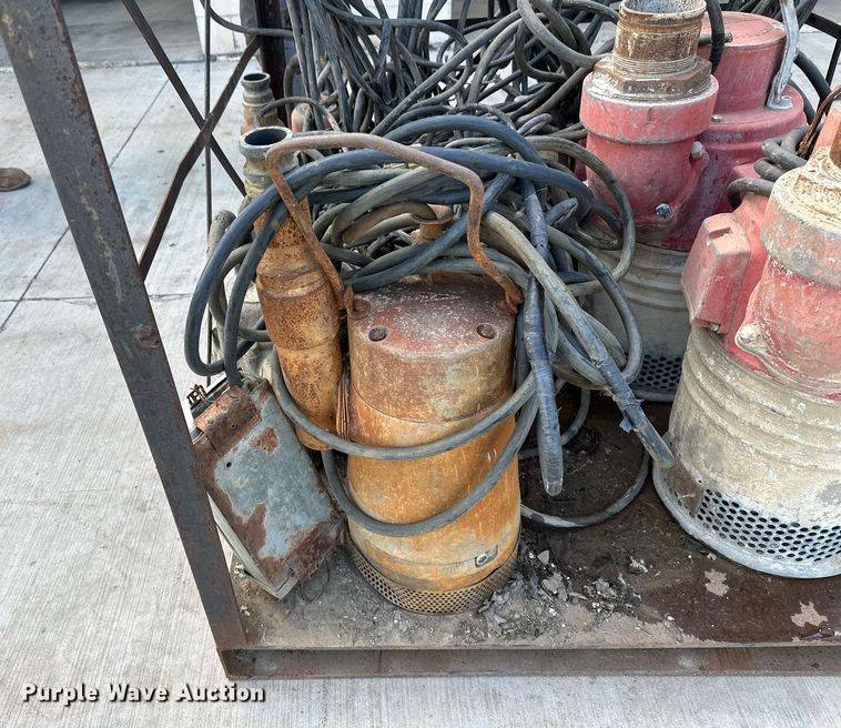 image for item EB2954 Approximately 10 pumps