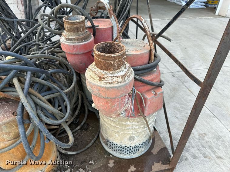 image for item EB2954 Approximately 10 pumps