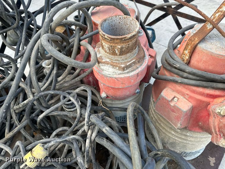 image for item EB2954 Approximately 10 pumps