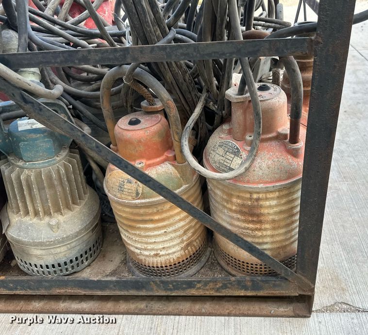 image for item EB2954 Approximately 10 pumps