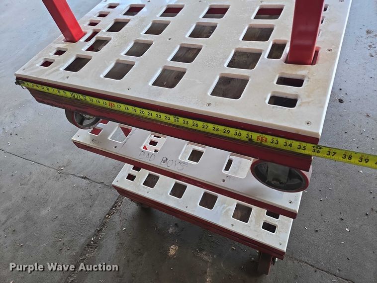 image for item DX7338 (2) carts