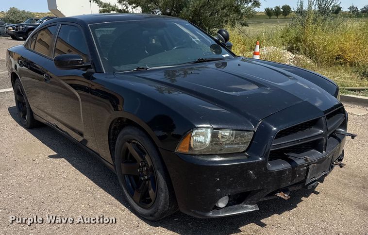 image for item DZ8970 2013 Dodge Charger Police 