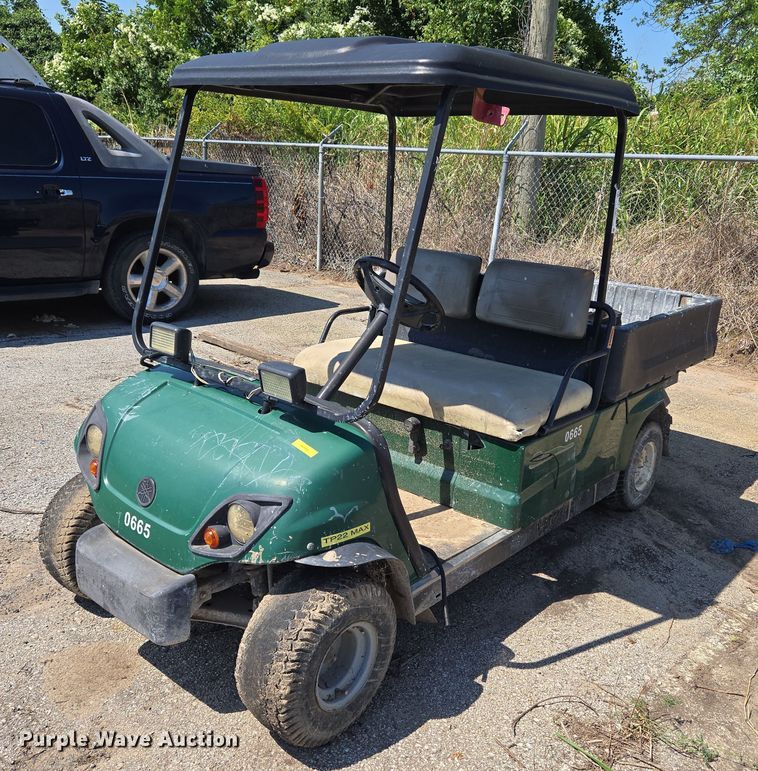 image for item EG8211 Yamaha U-Max golf cart