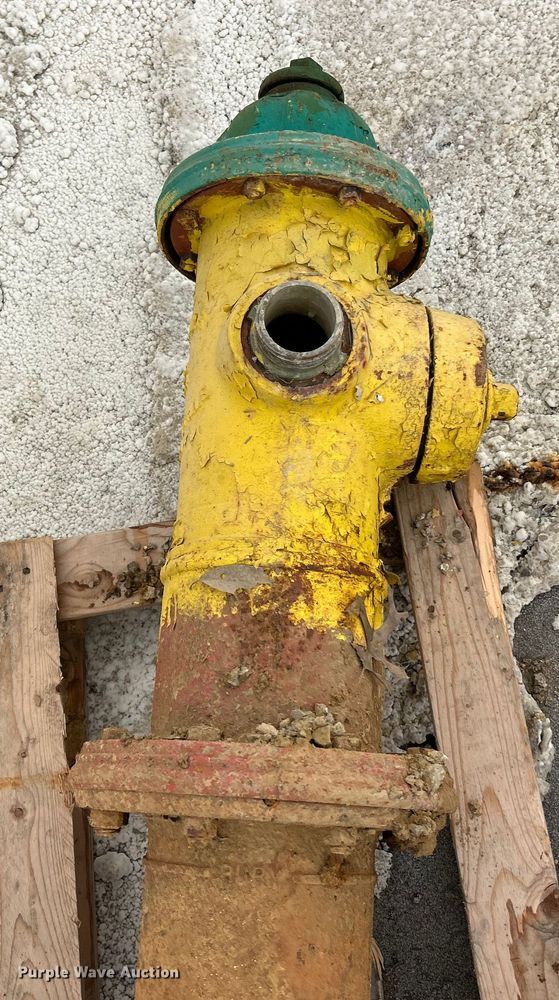 image for item ET3089 Mueller (8) fire hydrants