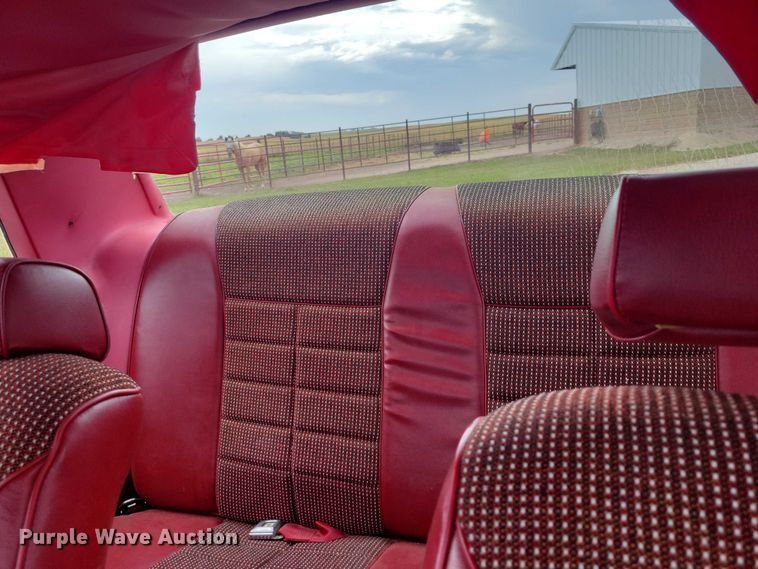 image for item DZ6577 1982 Ford Mustang 