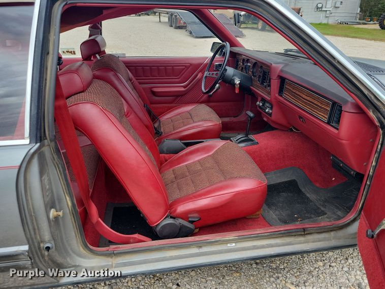 image for item DZ6577 1982 Ford Mustang 