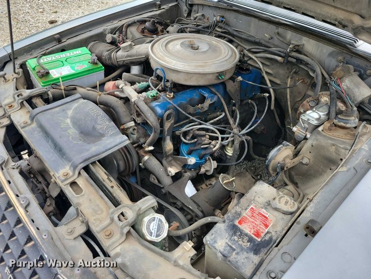 image for item DZ6577 1982 Ford Mustang 