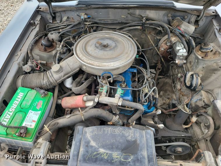 image for item DZ6577 1982 Ford Mustang 