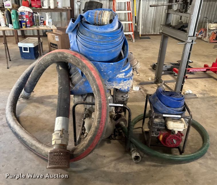 image for item DX5746  (2) pumps