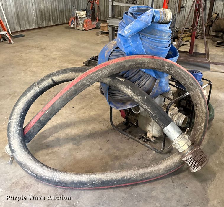 image for item DX5746  (2) pumps