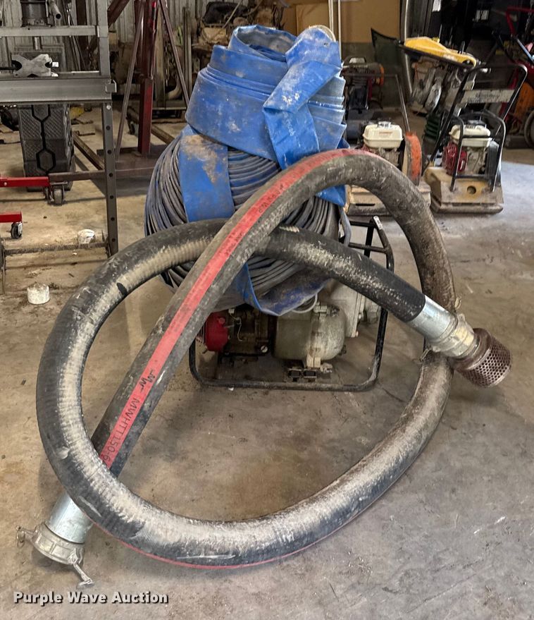 image for item DX5746  (2) pumps