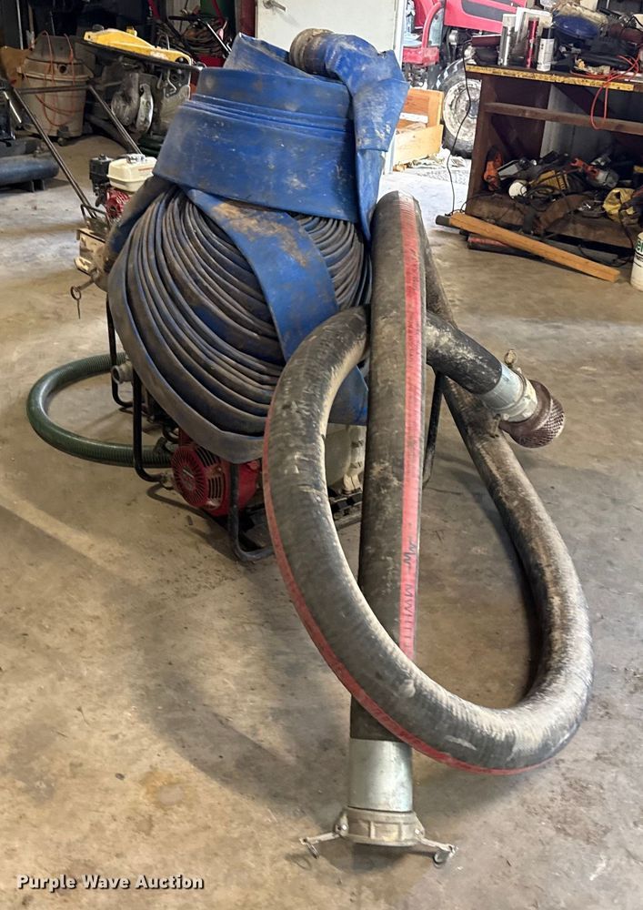 image for item DX5746  (2) pumps