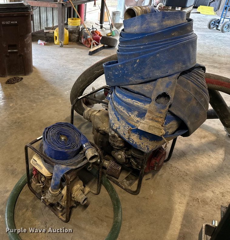 image for item DX5746  (2) pumps