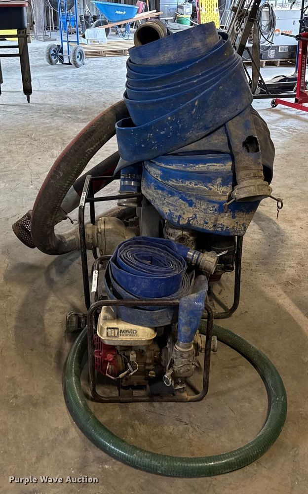 image for item DX5746  (2) pumps