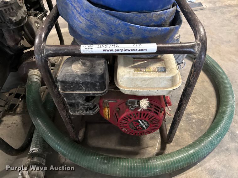 image for item DX5746  (2) pumps