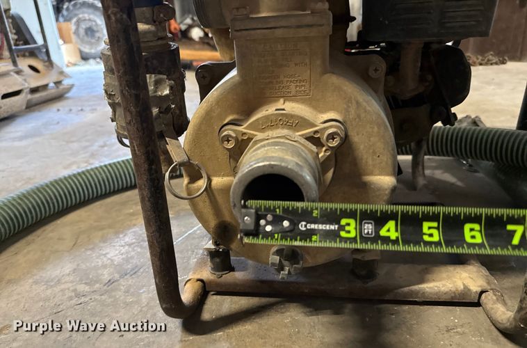 image for item DX5746  (2) pumps