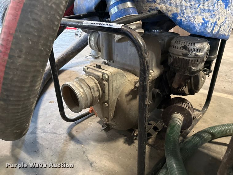 image for item DX5746  (2) pumps