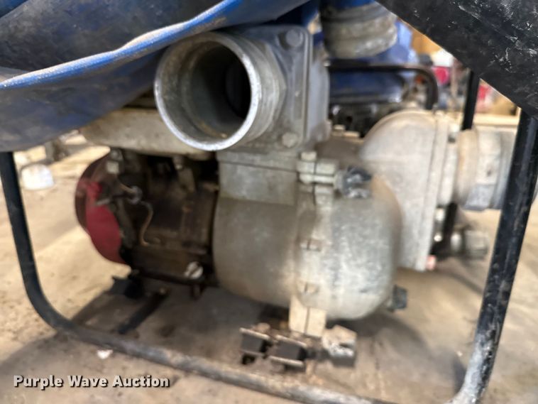 image for item DX5746  (2) pumps