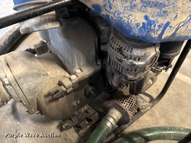 image for item DX5746  (2) pumps