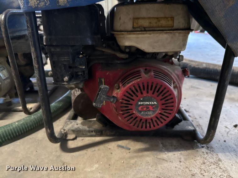 image for item DX5746  (2) pumps