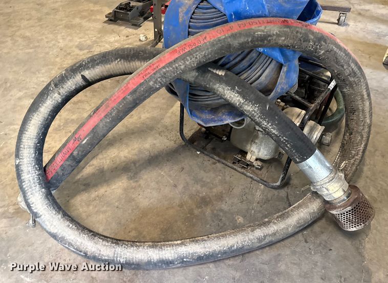 image for item DX5746  (2) pumps