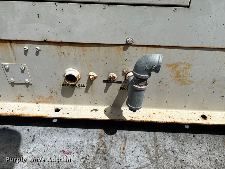 image for item EC3810 Lynx Power Systems 100SG generator