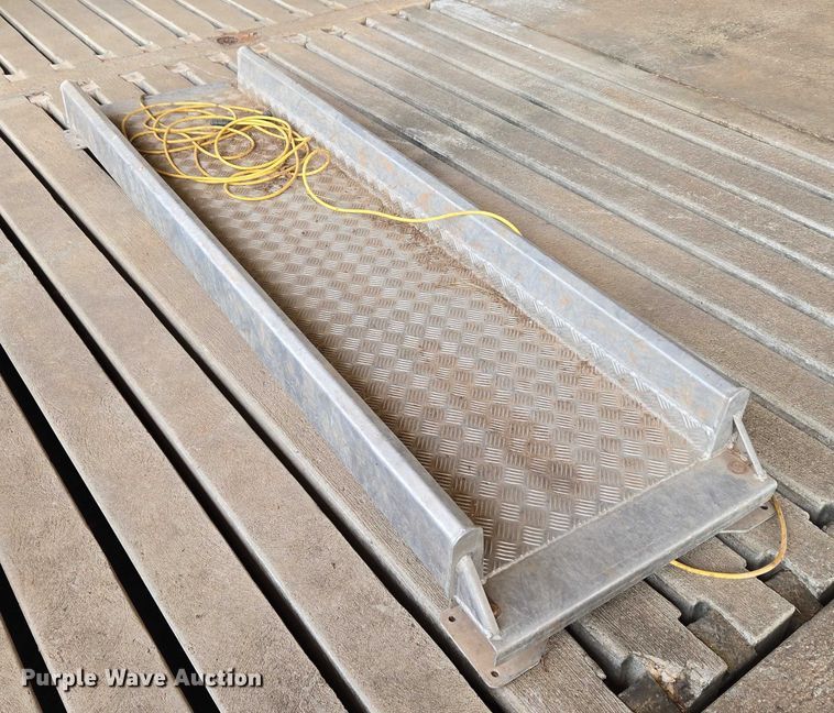 image for item EU3705 Hyway livestock scale