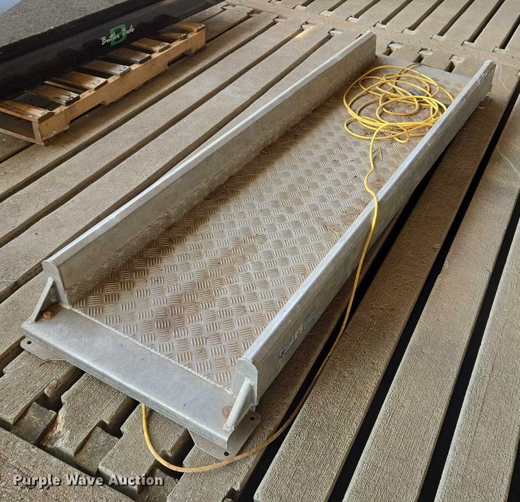 image for item EU3705 Hyway livestock scale