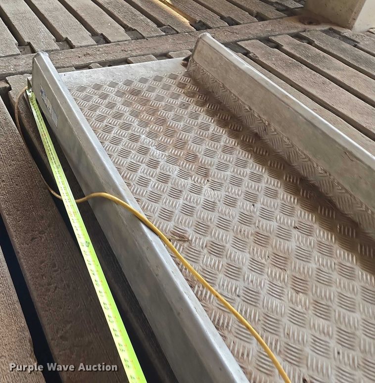 image for item EU3705 Hyway livestock scale