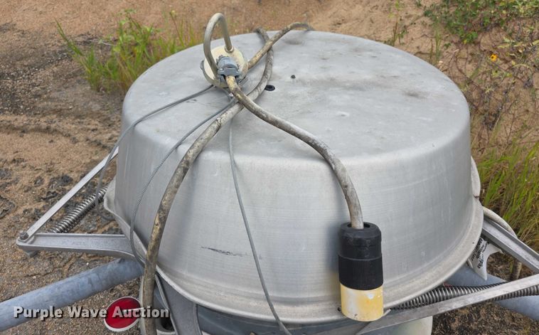 image for item DZ6160 (2) light poles