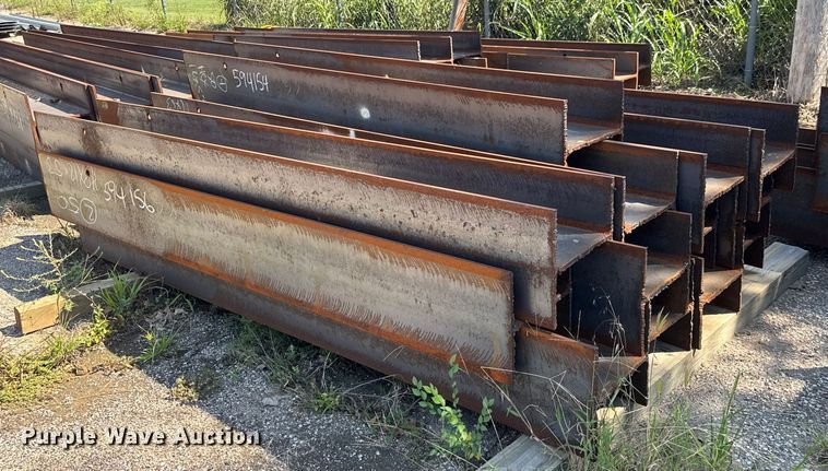 image for item EM8145 (67) I-beams