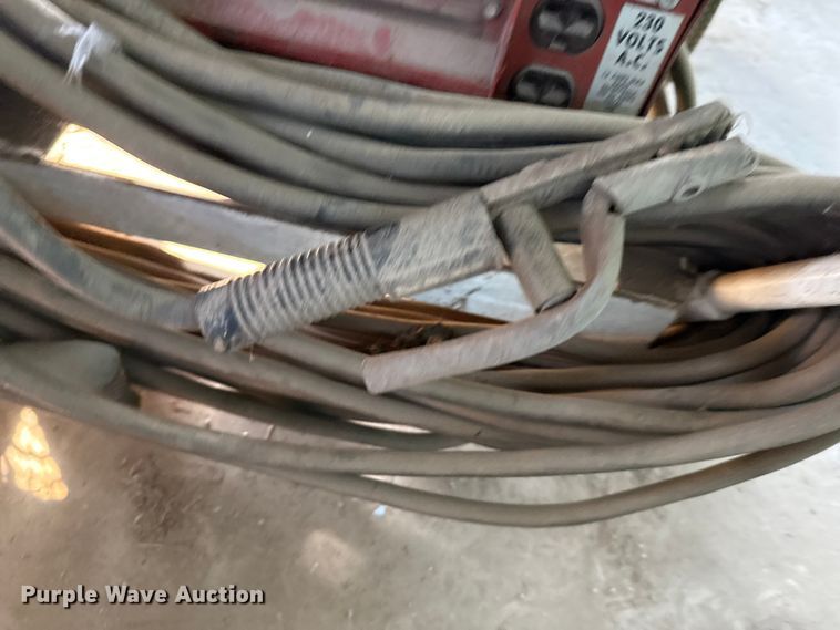 image for item EP0608 Lincoln Weldanpower AC/DC welder/generator